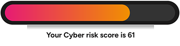 A progress bar indicating a cyber risk score of 61, with a gradient color from pink to orange.